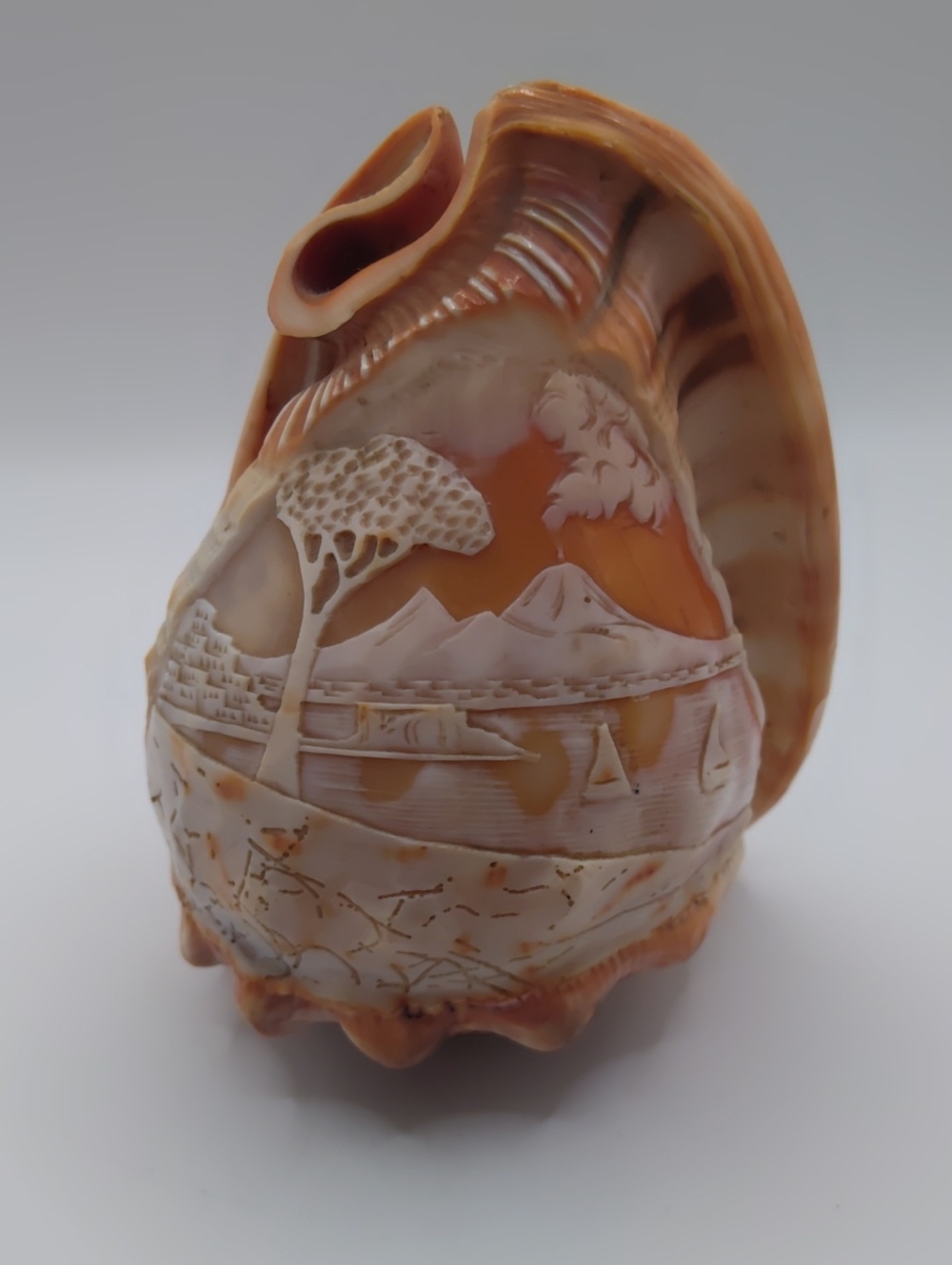 Hand Carved Mountain Scenery On A Shell Lampshade